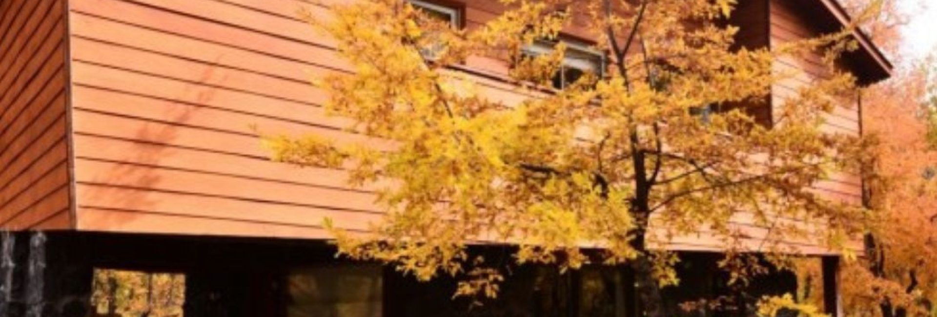 Cabaña Hualle 6 personas