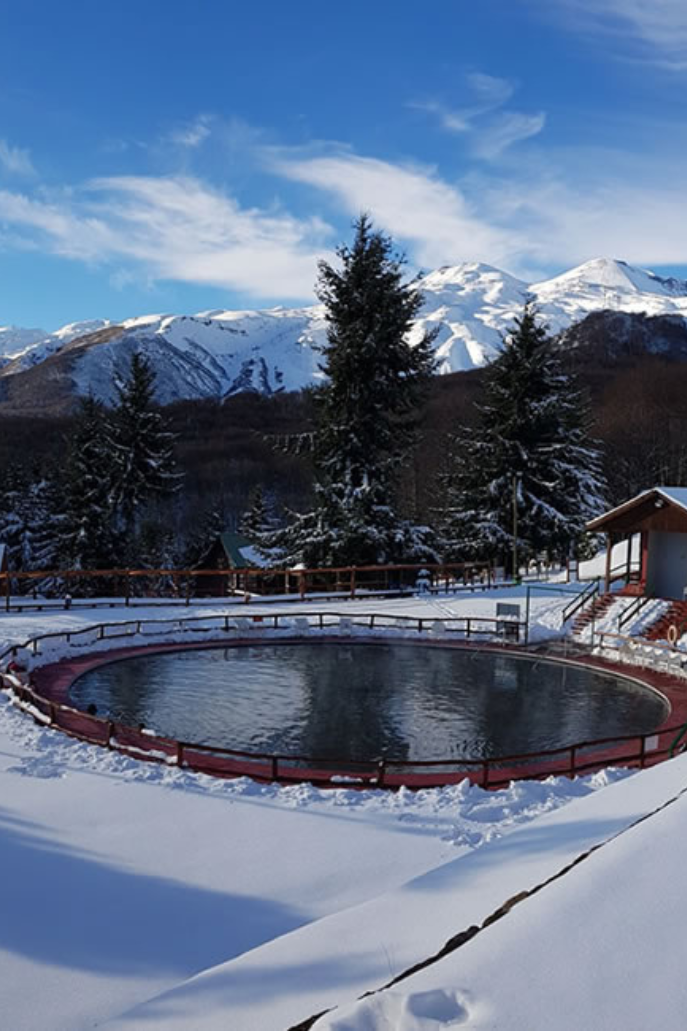 Diseño sin título(14)