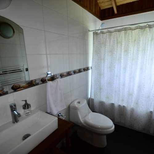 Cabaña Coihue 8 personas